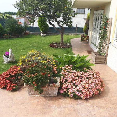 Bed And Breakfast Angolo Fiorito Civitavecchia Dış mekan fotoğraf