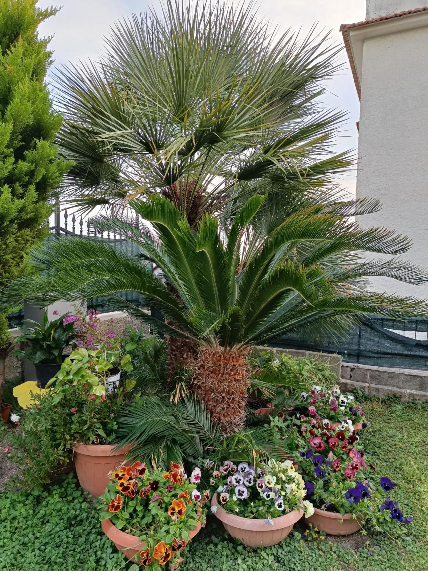 Bed And Breakfast Angolo Fiorito Civitavecchia Dış mekan fotoğraf