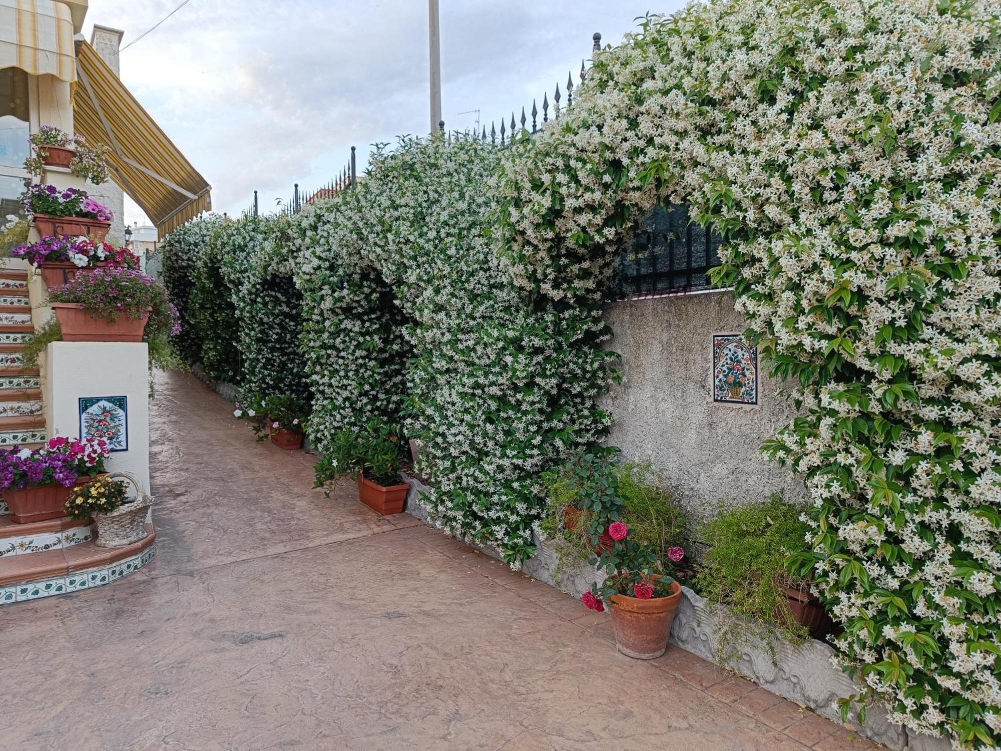 Bed And Breakfast Angolo Fiorito Civitavecchia Dış mekan fotoğraf