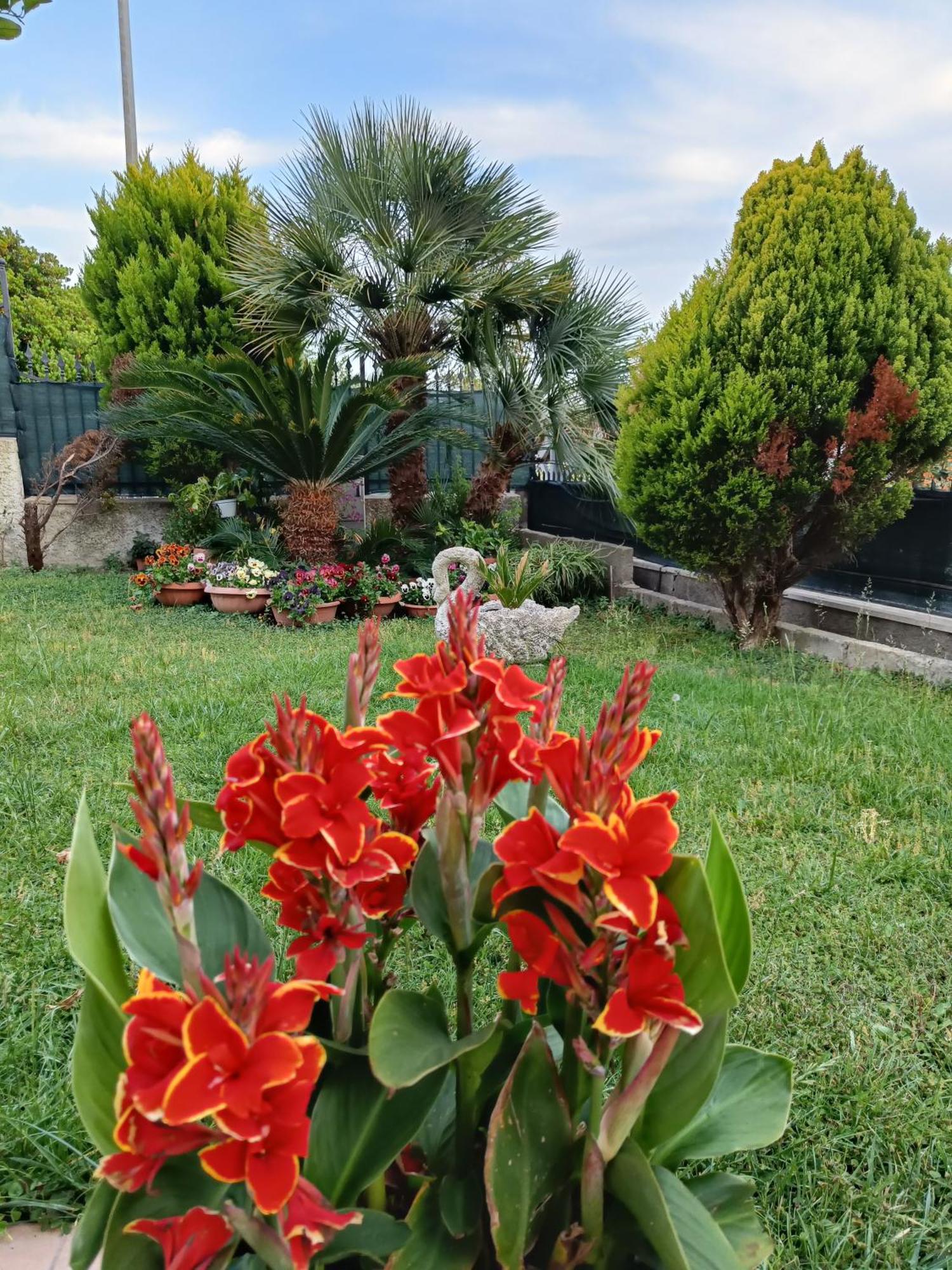Bed And Breakfast Angolo Fiorito Civitavecchia Dış mekan fotoğraf