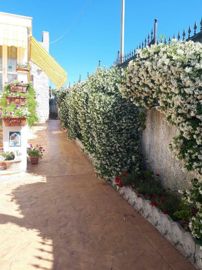 Bed And Breakfast Angolo Fiorito Civitavecchia Dış mekan fotoğraf